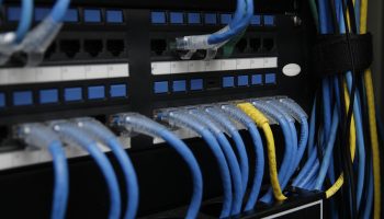 Detran-MS já derrubou mais de 10 sites falsos em 2026 e intensifica monitoramento