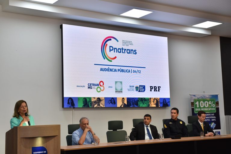 Galeria: Audiência Pública do Plano Nacional de Redução de Mortes e Lesões no Trânsito (Pnatrans)